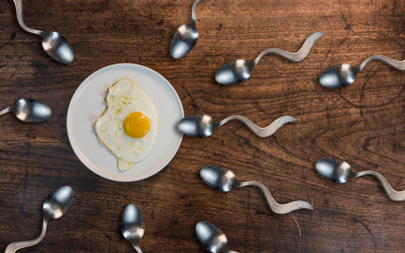 Menurut Penelitian di Brasil: Diet Keto Bikin Jumlah Sperma Meningkat