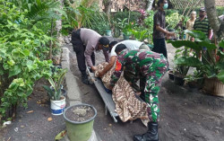Pemetik Kelapa di Kulonprogo Tewas Terjatuh