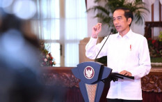 Jokowi Setujui Usulan Penambahan Penyuluh Program KB 