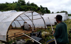 Petani Garam Gunungkidul Berhenti Produksi