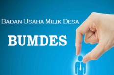 OPINI: Menanggung Kerugian BUMDesa   