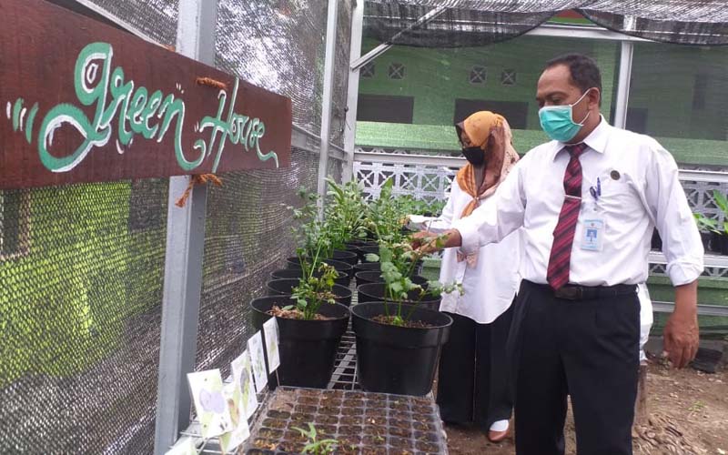 SMA N 1 Turi Galakkan Hutan Mini untuk Suplai Oksigen & Konservasi Air