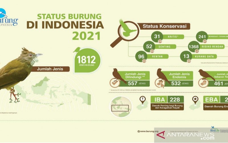 Gara-Gara Ulah Manusia 179 Jenis Burung di Indonesia Terancam Punah