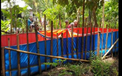 Pembinaan Life Skill Santri PA Ahmad Dahlan Kokap Melalui Budidaya Ikan Lele