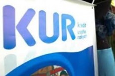Sektor Perdagangan Dominasi Penyaluran KUR