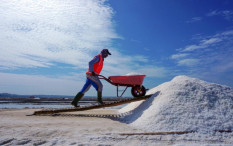 Indonesia Masih Andalkan Impor Garam, Ini Alasan Pemerintah