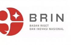 Jadi Ketua Dewan Pengarah BRIN, Megawati Dinilai Tak Punya Reputasi Ilmiah
