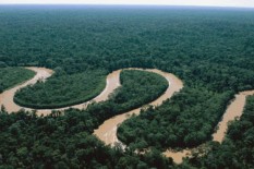 Indonesia dan Negara Lainnya Janji 2030 Bisa Hentikan Penggundulan Hutan