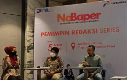 Indonesia Menuju Transisi Energi: Meneropong Tantangan Implementasi Energi Baru Terbarukan