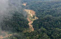 PKS Tegaskan Deforestasi Tak Pernah Bawa Kesejahteraan