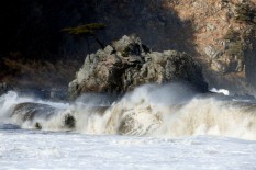 Tsunami Tonga & Letusan Gunung Berapi Bawah Laut, Jacinda Ardern: Gambar Erupsi Memprihatinkan