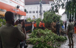 Tumbang, Pohon Beringin Timpa Pagar Kantor Pos Besar di Kawasan Titik Nol Jogja