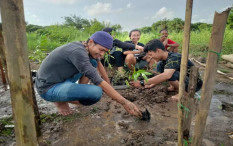 Dengan Mangrove, Komunitas Akar Napas Ajak Warga Cegah Abrasi 