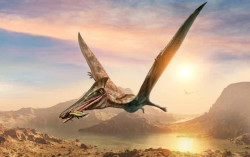 Pterosaurus Jurassic Terbesar Dunia Ditemukan di Skotlandia