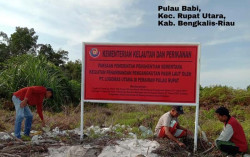 KKP Stop Kegiatan Penambangan Pasir Laut di Pulau Babi, Beting Aceh, dan Rupat