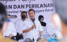 Tambak Udang Terintegrasi Akan Dibangun di Sumbawa