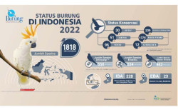 Gawat! Risiko Kepunahan Spesies Burung Indonesia Tertinggi di Dunia