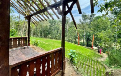 Piknik Gunungkidul, Sempatkan Singgah ke 'Surga Kecil' yang Satu Ini
