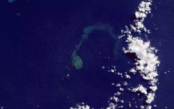 Sharkcano, Letusan Gunung Berapi yang Ganggu Habitat Hiu