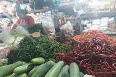 Tambah Pedas! Harga Cabai Rawit Merah di Gunungkidul Tembus Rp100.000 per Kg