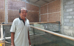 Salut, Sudah Berumur 80 Tahun, 'Pakarnya' Ikan Gabus asal Sleman Ini Tetap Berbagi Ilmu