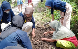 Mahasiswa KKN-T Universitas Alma Ata bersama Warga Tanam Jahe Merah