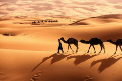Sejarah dan Temuan di Gurun Sahara