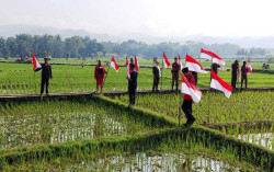 Semarak Kemerdekaan, PDIP Pasang 1.200 Bendera di Tempat Wisata