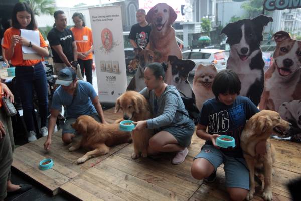Punya Kucing atau Anjing? Jangan Beri Makanan-Makanan Ini!