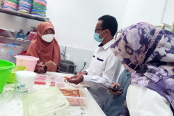 Menkes Nilai Nyamuk Berwolbachia Bisa Tangani Demam Berdarah di Indonesia