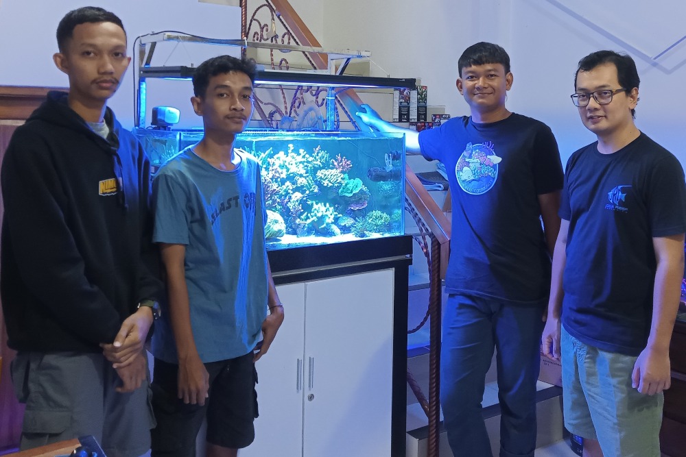 Terumbu Karang Dipelihara di Akuarium Rumahan, Kenapa Tidak? Komunitas Ini Buktinya