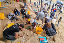 Arkeolog Temukan Gigi Berusia 1,8 Juta Tahun di Georgia