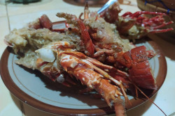 Kisah Jito Mengawinkan Lobster dengan Tiwul Gunungkidul