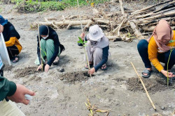 Bukan Karang Taruna Biasa, Pemuda-Pemudi Dusun Ini Fokus Lestarikan Bakau