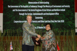 Berkomitmen Bersama Capai FOLU Net Sink 2030, Indonesia-Inggris Jalin Kerja Sama
