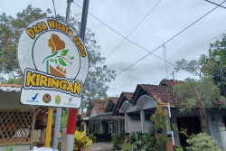 Pengin Coba Jamu Berbentuk Selai? Datang Saja ke Desa Ini di Bantul