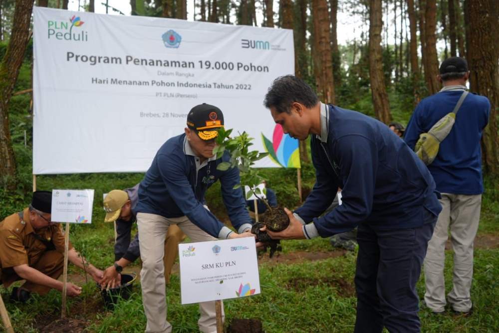 PLN Tanam 19.000 Pohon Peringati Hari Menanam Pohon Indonesia 2022
