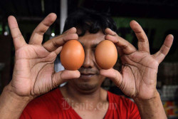 Harga Telur Melejit, Bapanas Sebut Ada Oknum Pengusaha yang Main-Main