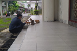 Komunitas Ini Terbentuk demi Impian demi Munculnya Kampus Ramah Kucing