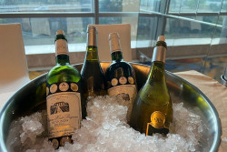 Segera Diluncurkan! Wisata Penerbangan Bisa Minum Wine di Ketinggian 18.000 Kaki