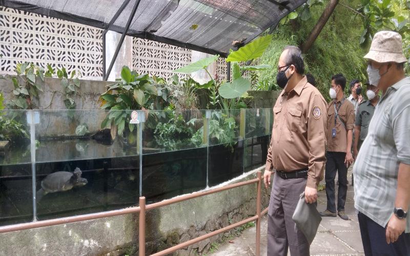 GL Zoo Tambah Penghuni Baru saat Libur Imlek, Ada Monyet Impor dari AS