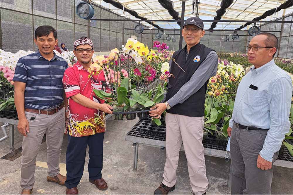 Untidar Panen Raya Anggrek di Kledung Research Park