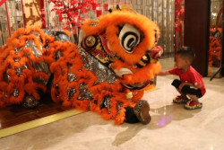 Mengenal Sejarah Barongsai dan Fakta-fakta  Uniknya