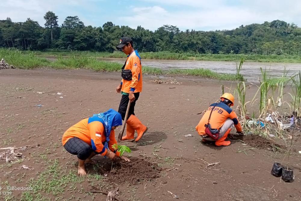 Kurangi Risiko Bencana, Ribuan Pohon Ditanam di Pinggir Sungai Progo