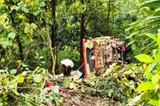 Truk Bermuatan Jagung Terperosok Jurang di Ngawen Gunungkidul