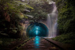 Cacing-cacing di Terowongan Terbengkalai Ini Memancarkan Cahaya Biru di Malam Hari