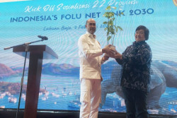 Teguhkan Komitmen Kendalikan Perubahan Iklim, Indonesia Mulai Sosialisasi FOLU Net Sink 2030