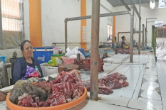Jelang Ramadan-Idulfitri, 200.000 Ton Daging Diimpor dari Brasil dan India