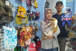 Lewat Baju Kucing, Pasutri Ini Sukses Mengonversi Hobi menjadi Laba