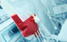 Update Stok Darah di PMI DIY Senin 20 Februari 2023